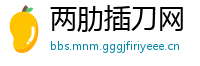 两肋插刀网